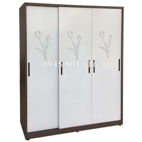 Tủ áo phòng ngủ TU19B3C3   